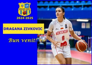 Bun venit, Dragana Zivkovic!